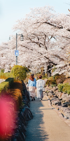 Fukushima Photo  №5