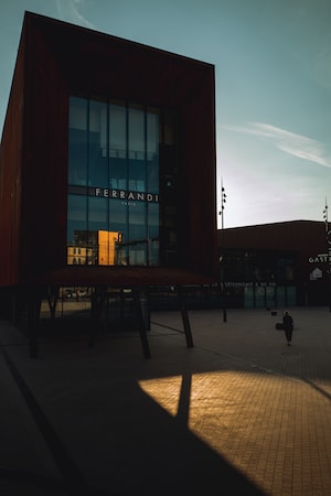 Dijon Photo  №2