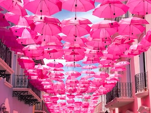 San Juan Photo  №4