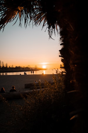 Vancouver Photo  №3