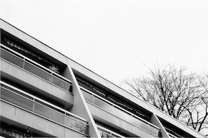 Nantes Photo  №8