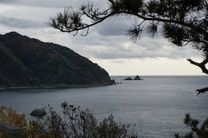 Shizuoka Photo  №4