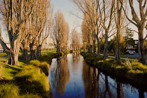 Christchurch Photo  №8